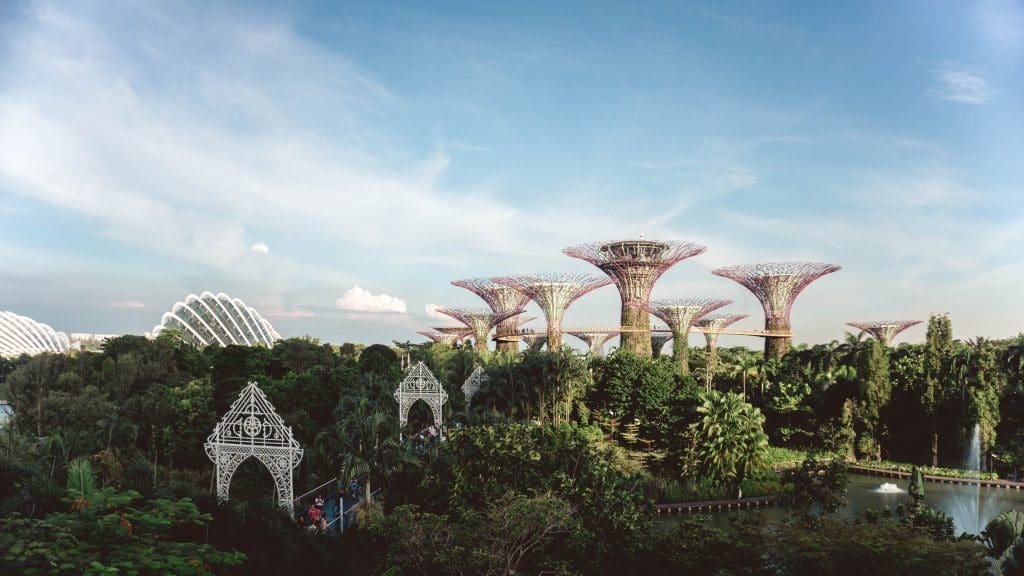 การ์เด้นบายเดอะเบย์, ทัวร์สิงคโปร์